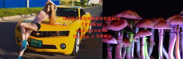 прущие грибы Алексеевка