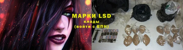 прущие грибы Алексеевка