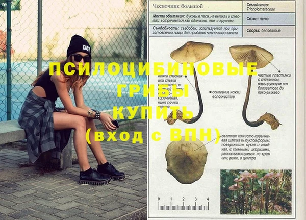 прущие грибы Алексеевка