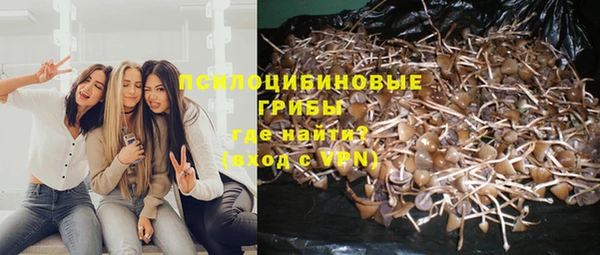 соль курить ск Алзамай
