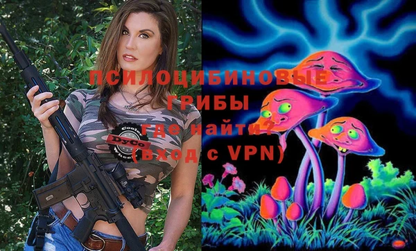 спайс Алексин
