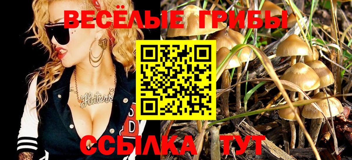 Галлюциногенные грибы MAGIC MUSHROOMS Крымск